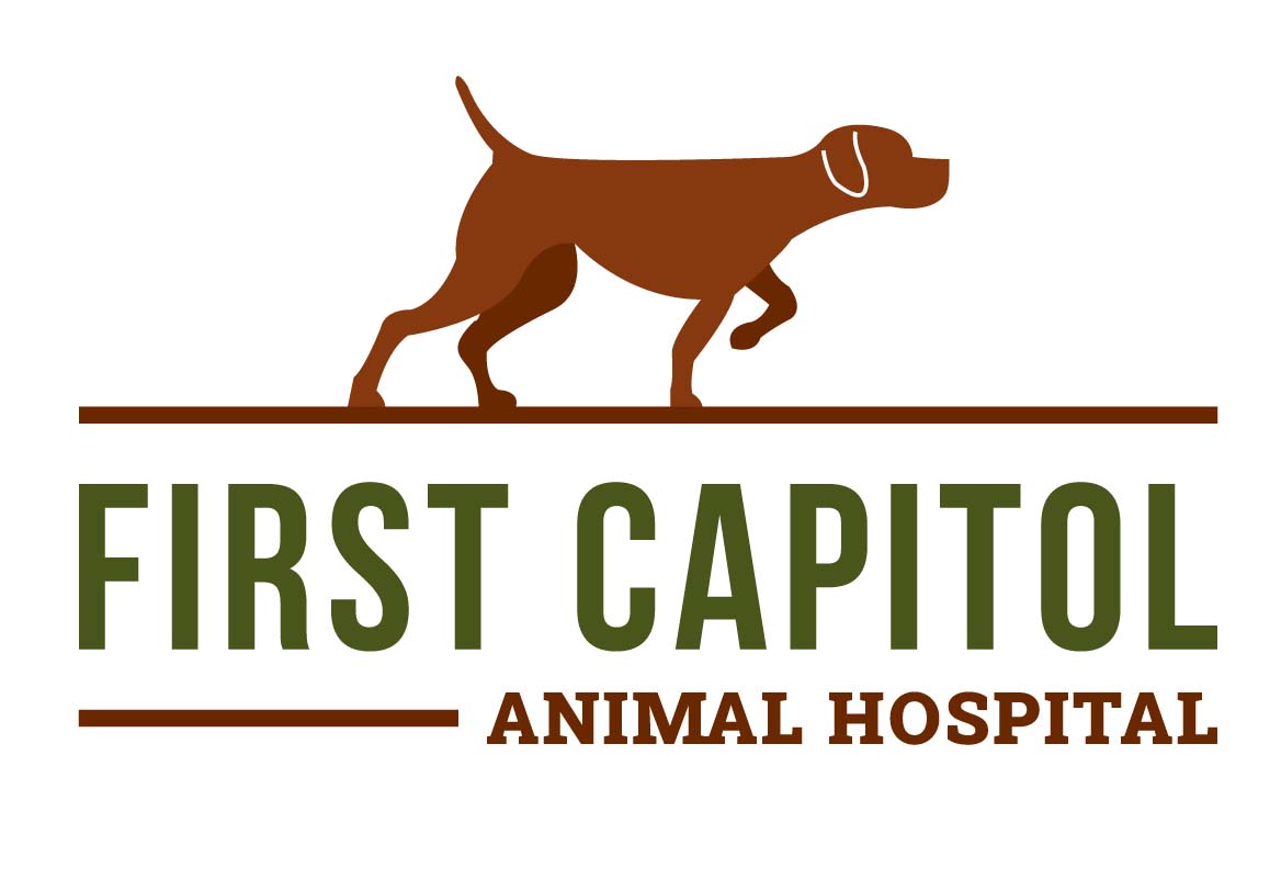Best Vet Hospital In St. Charles, MO | First Capitol Animal